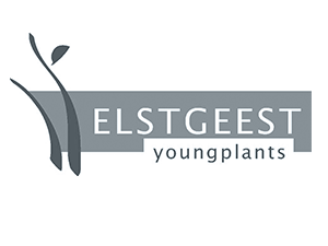 Elstgeest Youngplants